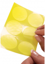 Cerederm Силиконовая пластина Lipostick (Липостик)